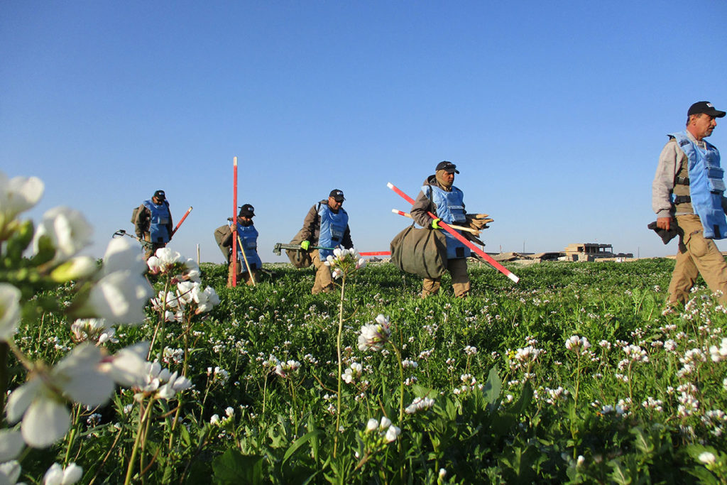 FSD-deminers-heading-to-the-minefield-to-begin-the-day's-operations-(Iraq,-2019)