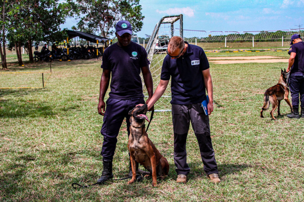 Two deminers training with a demining dog