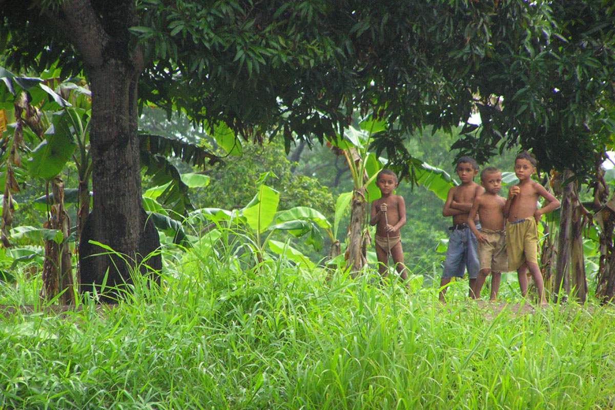 Landscape and communities - Colombia