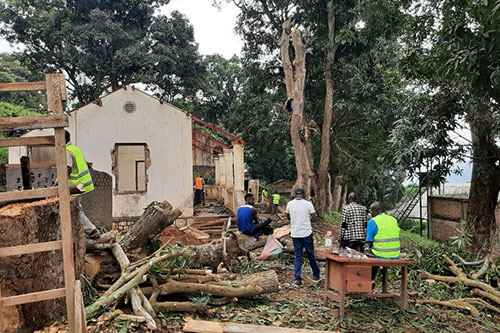 Rehabilitation project in the Central African Republic