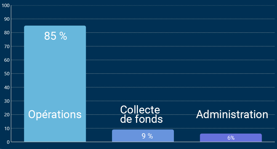 Overall allocation of budget