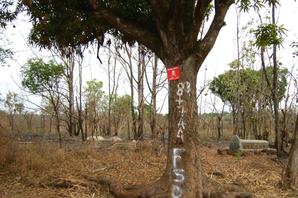 Launch of a large-scale demining operation