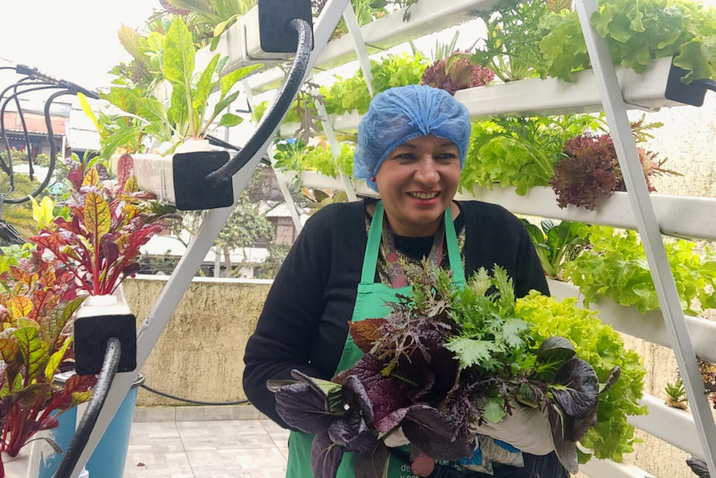 Mine victim harvests lettuce in Colombia