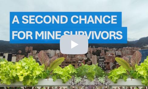 Video Mine victim assistance Colombia