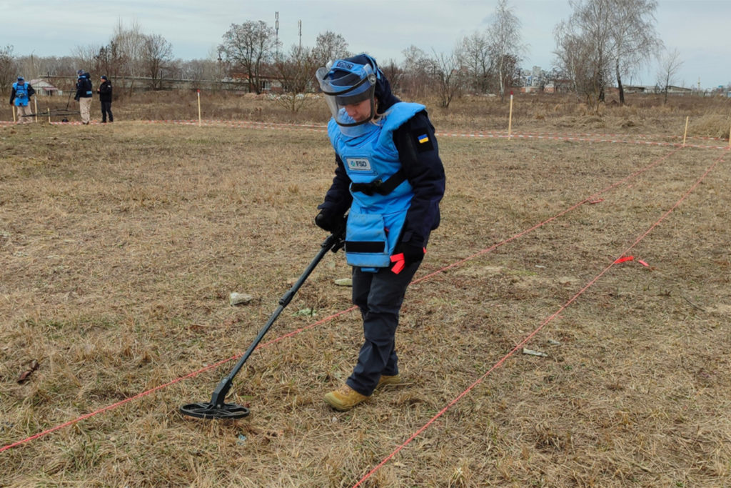 FSD deminer wearing a blue protective vest using a mine detector to search for mines in a field.