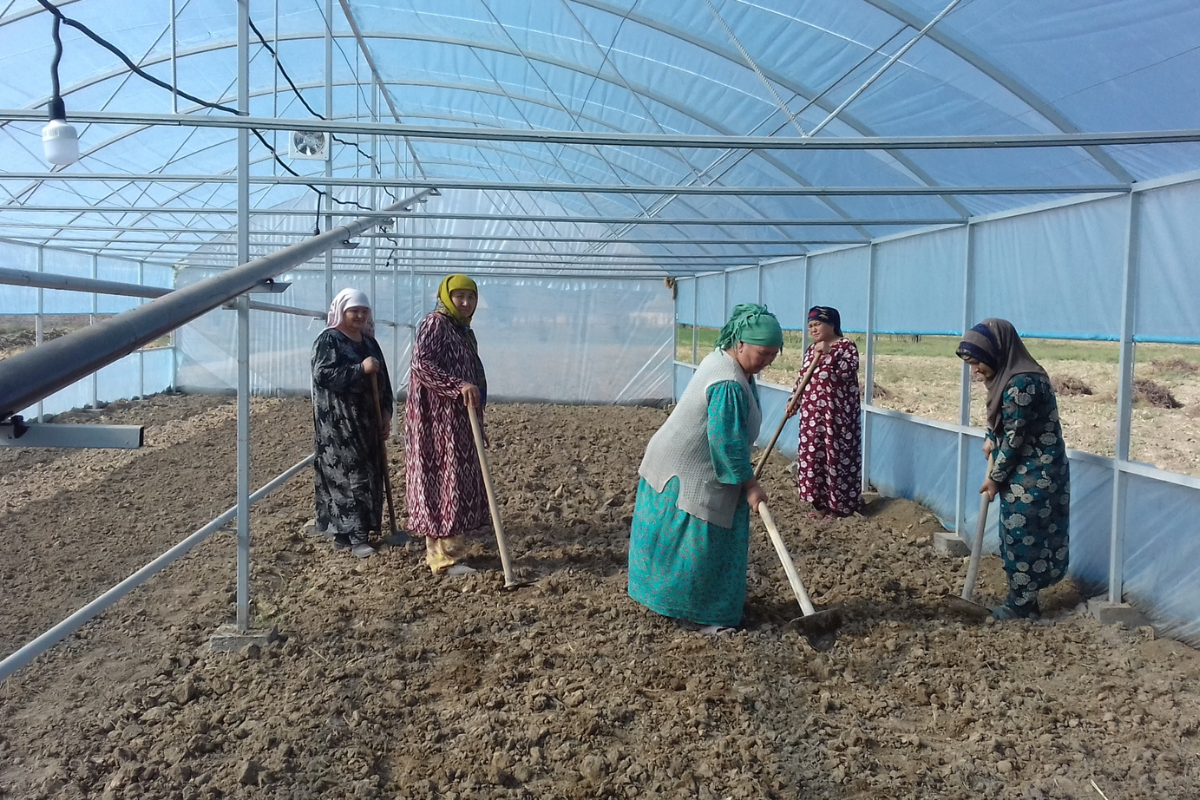 Remnants-of-toxic-pesticides-leak-into-the-soil-and-contaminate-the-water-used-by-the-population-(Tajikistan)