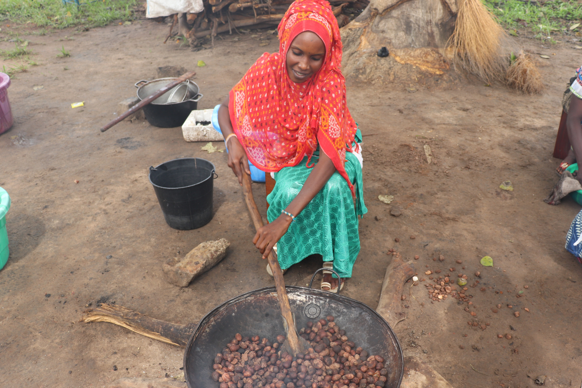 Carpentry activity, community support in the Central African Republic