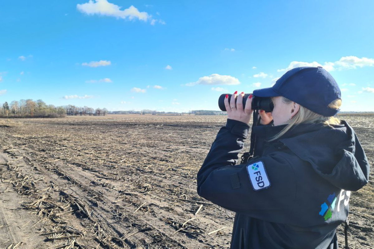 Staff inspecting the land during a non-technical survey