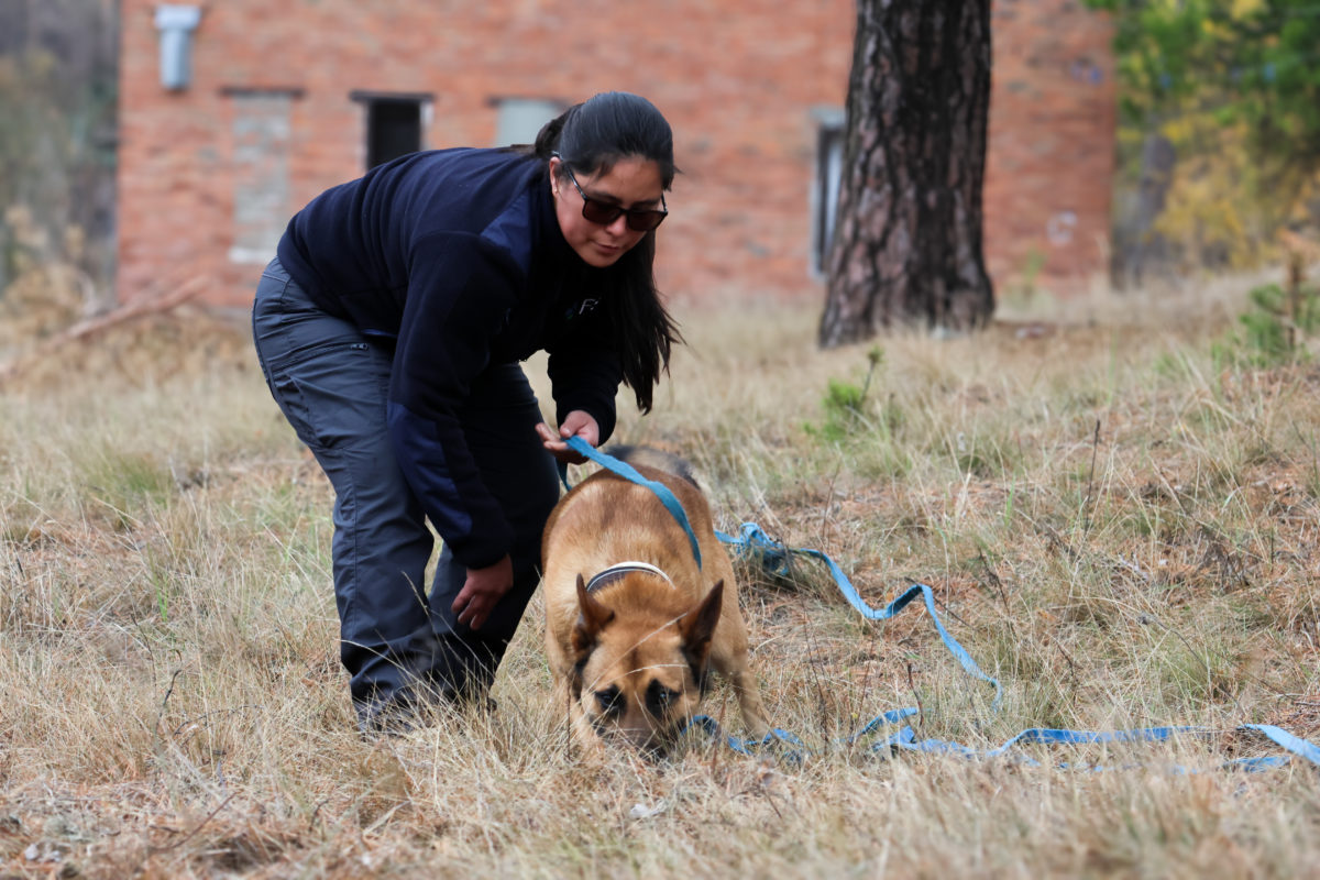 Reinforcements in Ukraine: our new four-legged recruits have arrived!