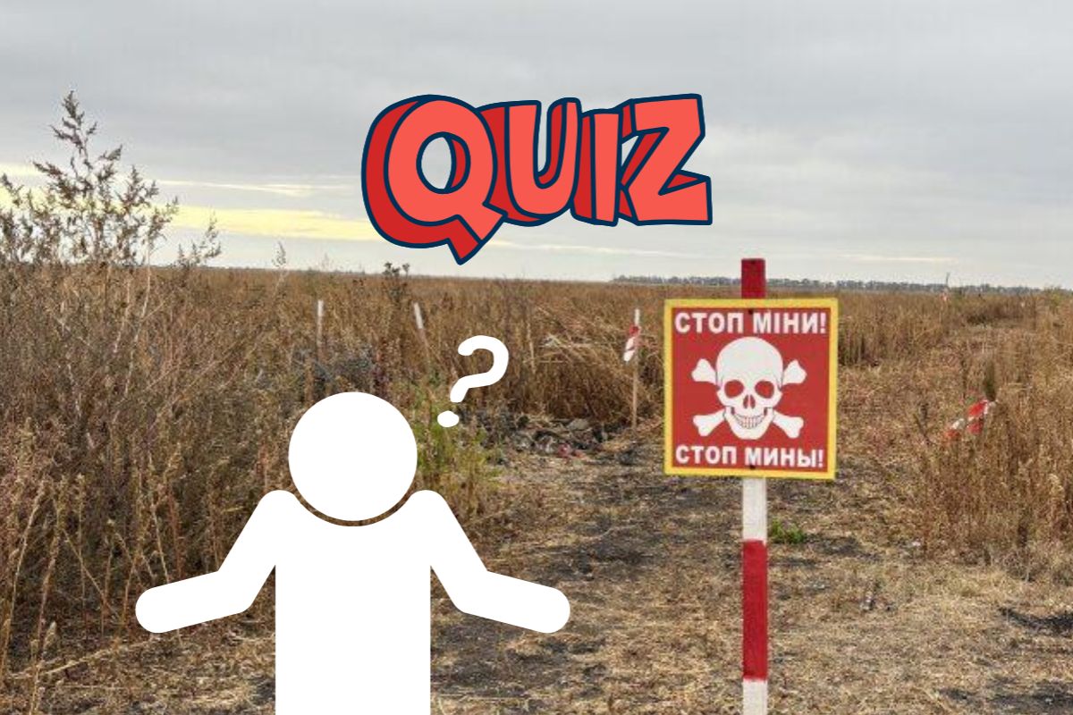 Quiz: Do you have an eye for spotting danger?