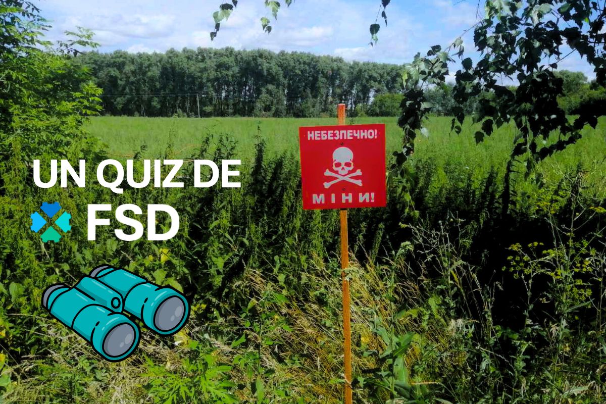 FSD are you fit to be a deminer quiz