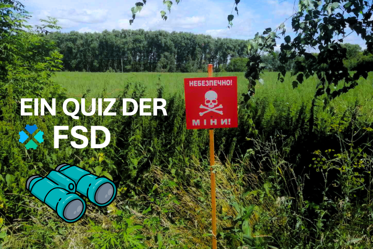 FSD are you fit to be a deminer quiz