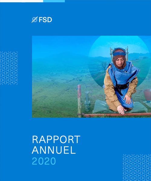Couverture du Rapport Annuel 2020