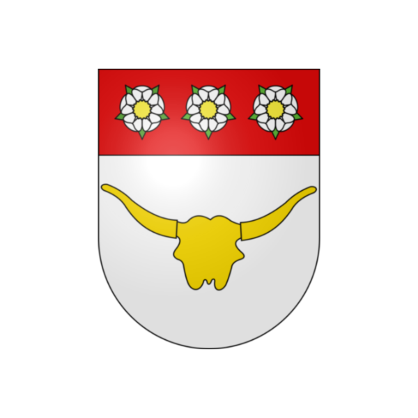 Gemeinde Düdingen Ville de Pully_logo