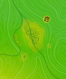 Couverture du Rapport Annuel 2015