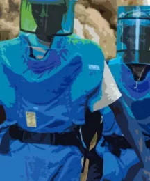 Couverture du Rapport Annuel 2011